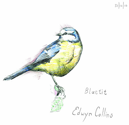 Edwyn Collins Bluetit